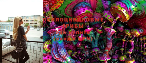 первитин Дмитриев