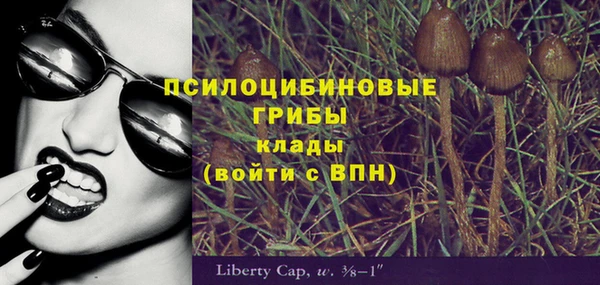 первитин Дмитриев